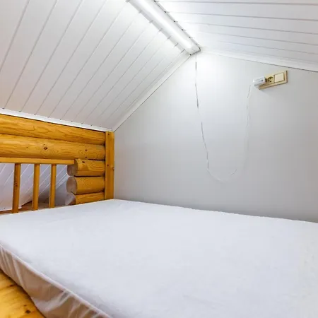 Holiday home Rustholli 1 By Interhome